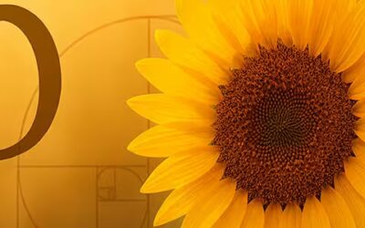 El número phi: el ingrediente secreto de la armonía visual